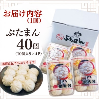 【毎月定期便】長崎ぶたまん 40個 (10個入×4パック)～桃太呂～全12回