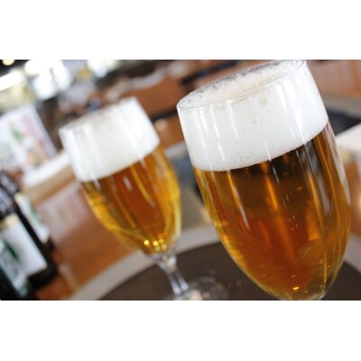 北海道千歳工場製造 キリン 一番搾り 500ml缶×24本