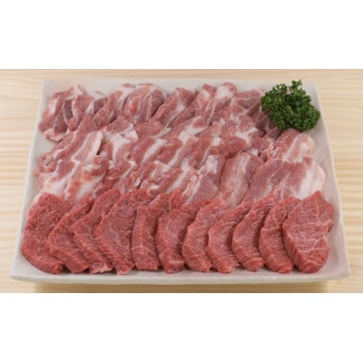 飛騨牛・瑞浪ボーノポーク焼肉セット