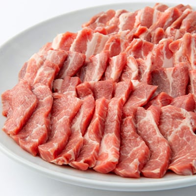 瑞浪ボーノポーク焼肉セット