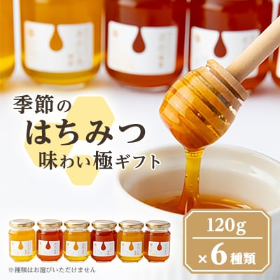 東美濃厳選「季節のはちみつ味わい極ギフト」