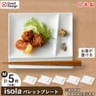 グッドデザイン賞受賞!【miyama.】isolaパレットプレートM　5枚セット(白磁)