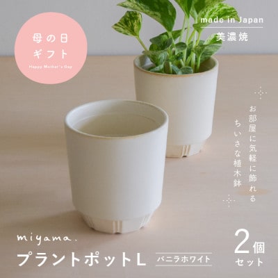 母の日おすすめの鉢植え　花のある暮らしを手軽に　miyama.の植木鉢L　バニラホワイト2個　美濃焼