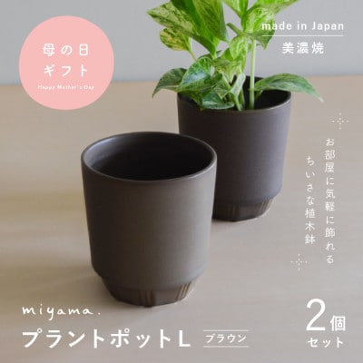 母の日おすすめの鉢植え　花のある暮らしを手軽に　miyama.の植木鉢L　ブラウン2個　美濃焼