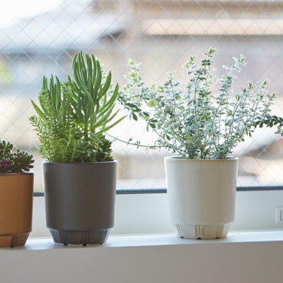 母の日おすすめの鉢植え　花のある暮らしを手軽に　miyama.の植木鉢L　ブラウン2個　美濃焼