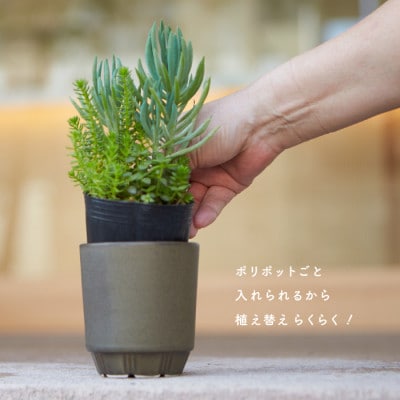 母の日おすすめの鉢植え　花のある暮らしを手軽に　miyama.の植木鉢S　ブラウン2個　美濃焼