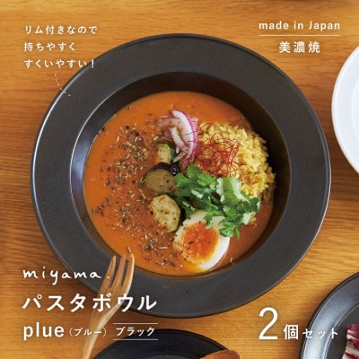 【美濃焼】miyama.のパスタボウル(プルー)2個セット　ブラック