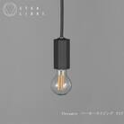 CTSH LIGHT. ペンダントライト【HEXAGONパーカーライジングE-17】