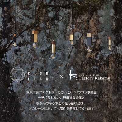 CTSH LIGHT. ペンダントライト CIRCLE【Walnut×クロム加工  E-17】