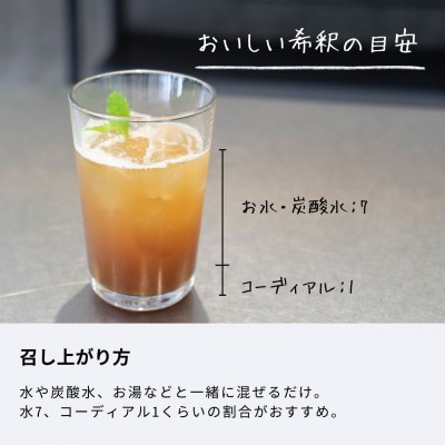 ハーブコーディアル6種類セット 生活の木瑞浪ファクトリー直送