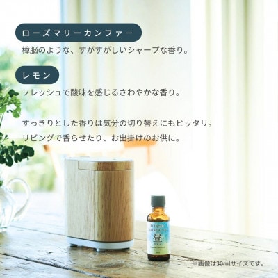 ブレンド精油 昼-DAY- 100ml 生活の木瑞浪ファクトリー直送