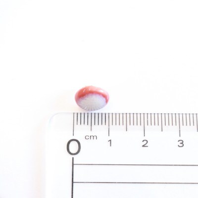 【美濃焼】ピンクむらタイルイヤリング(直径10mm)