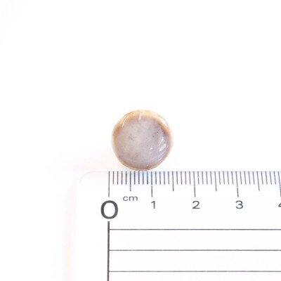 【美濃焼】薄茶むらタイルイヤリング(直径15mm)