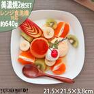 美濃焼 プレーリー  ホワイト 【2枚SET プレートのみ L 21.5×3.8cm】 小田陶器