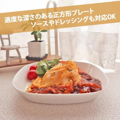 美濃焼 プレーリー  ホワイト 【2枚SET プレートのみ L 21.5×3.8cm】 小田陶器