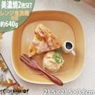 美濃焼 プレーリー マスタード 【2枚SET プレートのみ L 21.5×3.8cm】 小田陶器