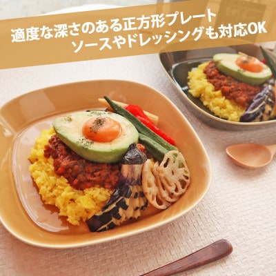 美濃焼 プレーリー マスタード 【2枚SET プレートのみ L 21.5×3.8cm】 小田陶器