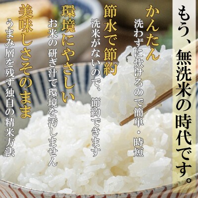 国内産無洗米5kg×2