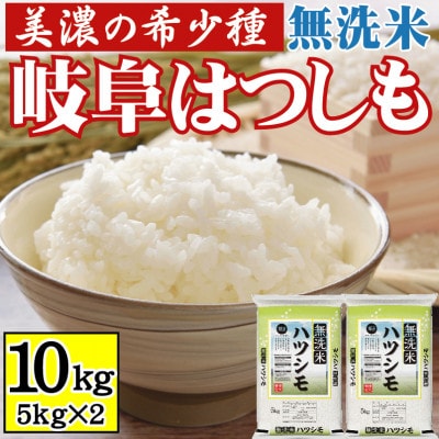 [美濃の希少種]無洗米 はつしも 10kg(5kg×2袋) 岐阜県産 令和6年産