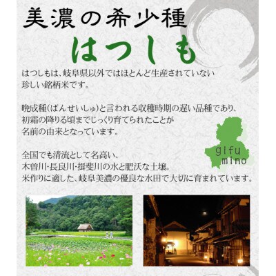 [美濃の希少種]無洗米 はつしも 10kg(5kg×2袋) 岐阜県産 令和6年産