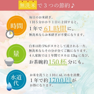 [美濃の希少種]無洗米 はつしも 10kg(5kg×2袋) 岐阜県産 令和6年産