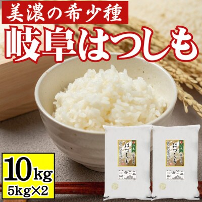 [美濃の希少種]白米 はつしも 10kg(5kg×2袋) 岐阜県産 令和6年産