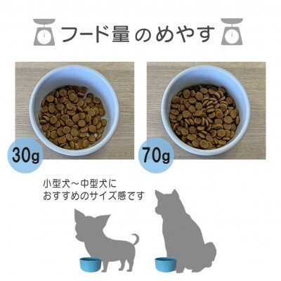美濃焼　陶器製ペット用フードボウル【Bamboo プレーンフードボウル/ピンクpet140】
