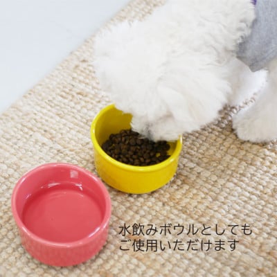 美濃焼　陶器製ペット用フードボウル【Bamboo プレーンフードボウル/ブルーpet140】