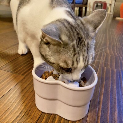 美濃焼　陶器製ペット用フードボウル【早食い防止 ハート型高台フードボウル/ブラウンpet143】