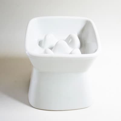 美濃焼　陶器製ペット用フードボウル 名入れ 早食い防止 スタンプ 高台傾斜 ホワイト