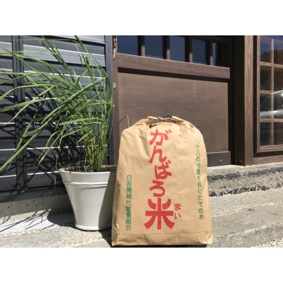 R6年産　岐阜県産コシヒカリ精米10kg(5kg×2)岐阜県瑞浪市日吉町産がんばろ米