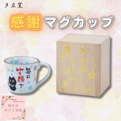 【母の日ギフト用】夕立窯　感謝　マグカップ　(ねこ)