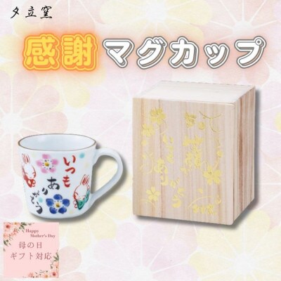 【母の日ギフト用】夕立窯　感謝　マグカップ　(うさぎ)