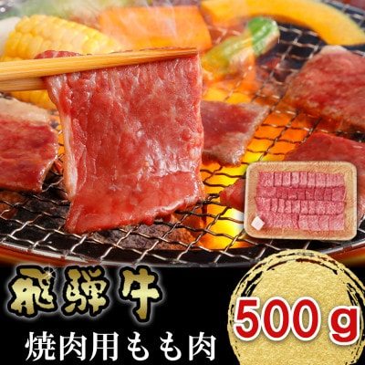 飛騨牛 焼肉用もも肉 500g