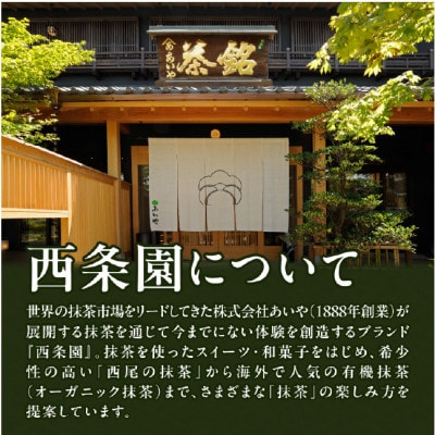 抹茶スティック(ミニシェーカー付き)・A198