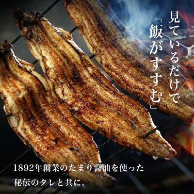 【4~5か月待ち】一色産うなぎ職人手焼き蒲焼 180g×2尾 U006