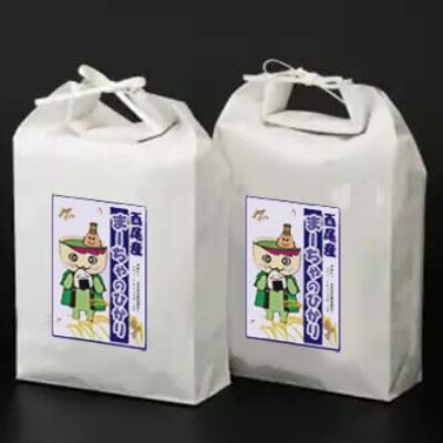 令和6年産 西尾のお米10kg(こしひかり5Kg×2)・K195-26
