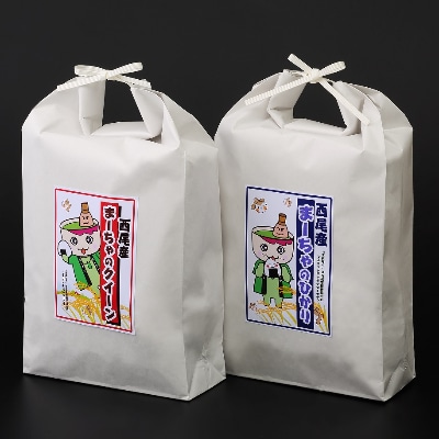 西尾産お米10kg(こしひかり5kg、ミルキークイーン5kg)・K196-26