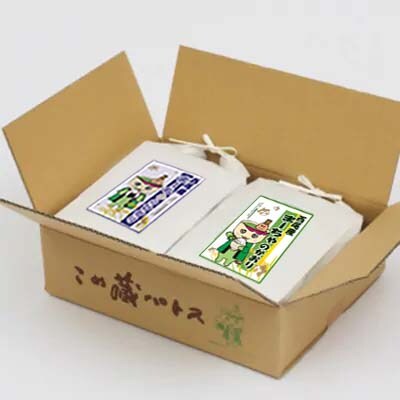 西尾産お米10kg(こしひかり5kg・あいちのかおり5kg)・K199-26