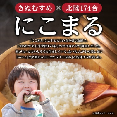 西尾のお米〈にこまる〉5kg・K295-15