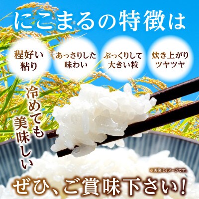 西尾のお米〈にこまる〉5kg・K295-15