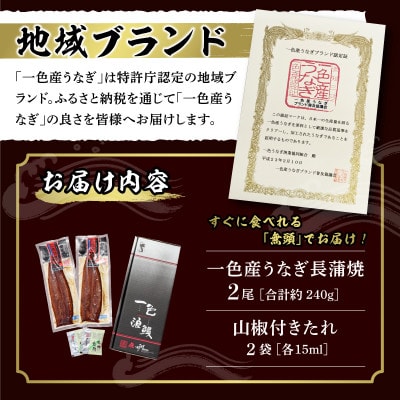 一色産うなぎ　無頭　長蒲焼2尾(240g)・I048-13-1