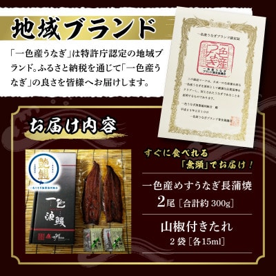 一色産めすうなぎ無頭長蒲焼2尾(300g)・I059-19-1