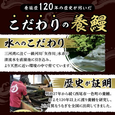 【定期便】一色産うなぎ　無頭　長蒲焼4尾(640g)×3回・I062