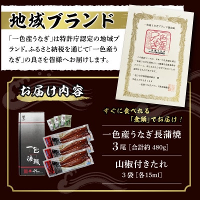 一色産うなぎ　無頭　長蒲焼3尾(480g)・I084