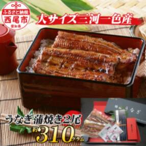 三河一色産うなぎ蒲焼 大サイズ2尾 無頭(1尾約155g).M044-12