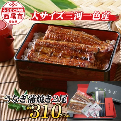 三河一色産うなぎ蒲焼 大サイズ2尾 無頭(1尾約155g).M044-12