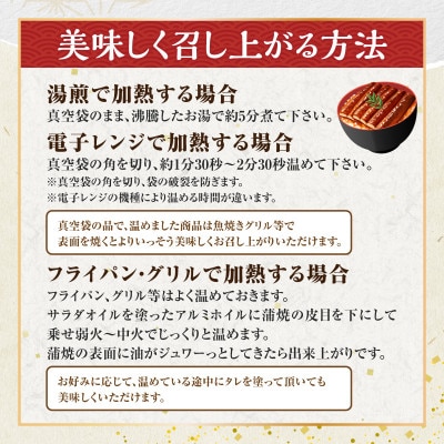 三河一色産うなぎ蒲焼　大サイズ2尾　無頭(1尾約155g)・M044-19