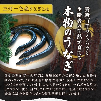 三河一色産うなぎ蒲焼　大サイズ3尾　無頭(1尾約155g)・M116