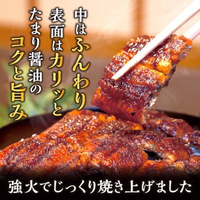 三河一色産うなぎ蒲焼　大サイズ3尾　無頭(1尾約155g)・M116